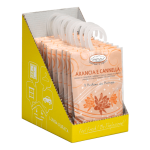 Aromatizuotas pakelis, apelsino ir cinamono kvapas. HygienFresh®, 1 vnt.